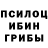 Псилоцибиновые грибы мицелий Danil Da