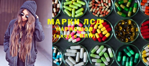 индика Алзамай