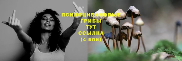 индика Алзамай