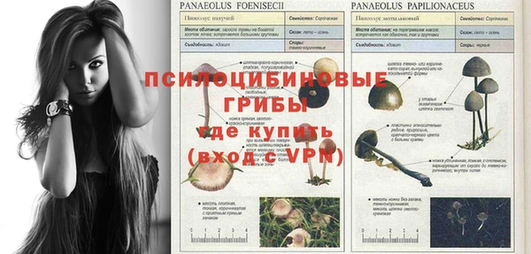 амф Алексин