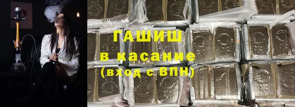 индика Алзамай
