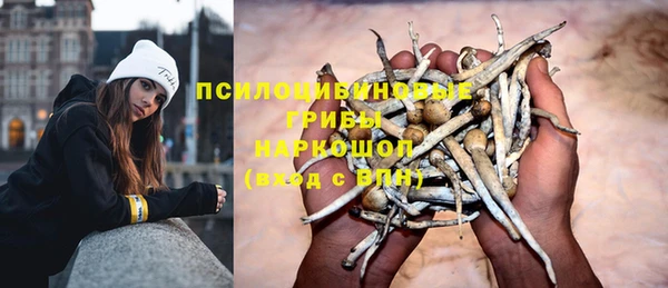 амф Алексин