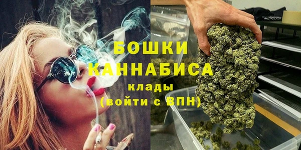 Альфа ПВП Горнозаводск