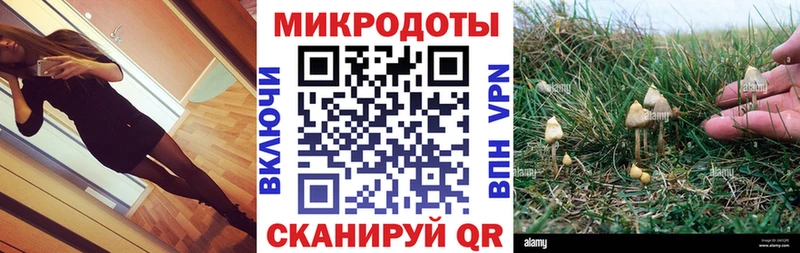 где купить наркоту  Енисейск  Псилоцибиновые грибы ЛСД 